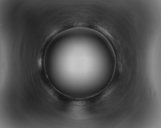 X0000086720067200704131053