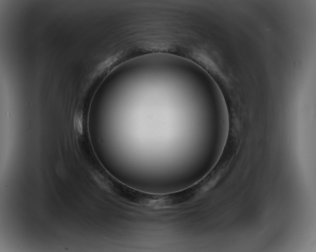 X0000086720068200704131053