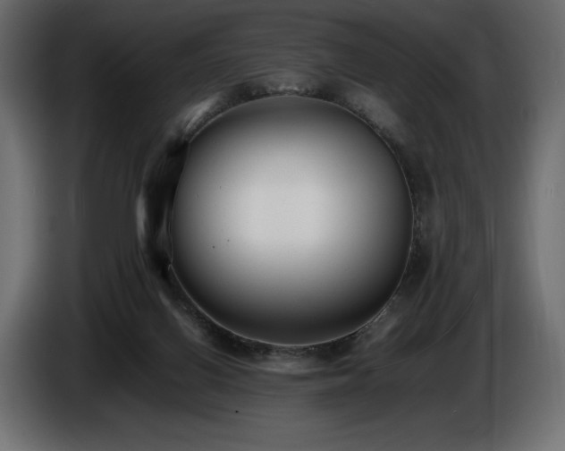 X0000086720070200704131053