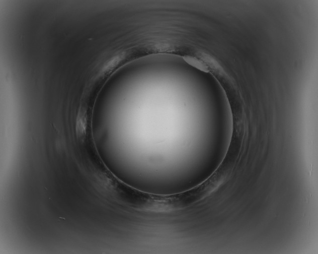 X0000086720072200704131053
