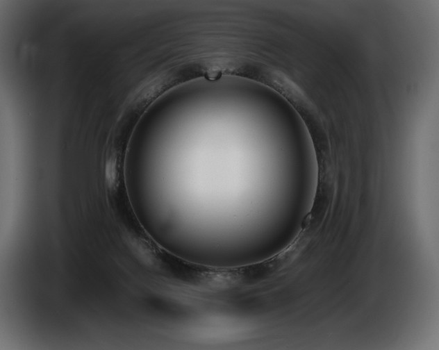 X0000086720074200704131053