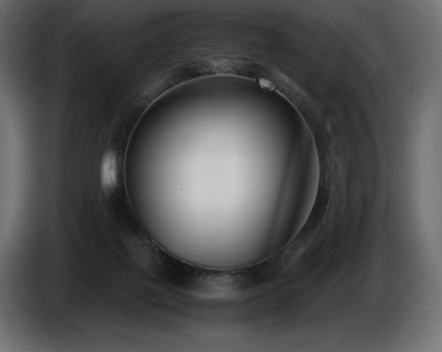 X0000086720075200704131053