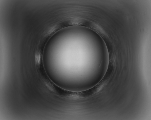 X0000086720076200704131053