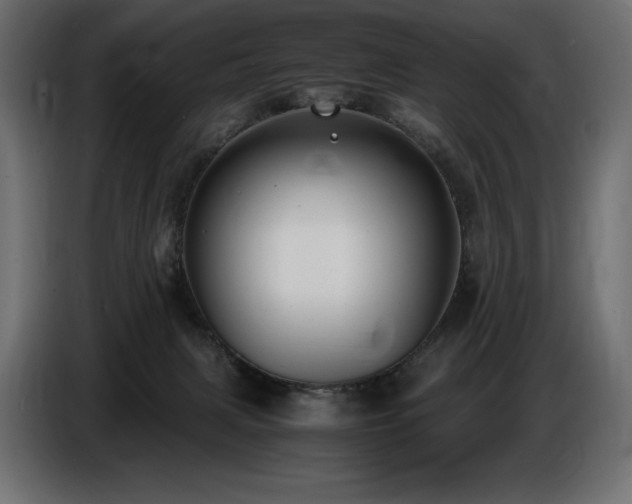 X0000086720079200704131053