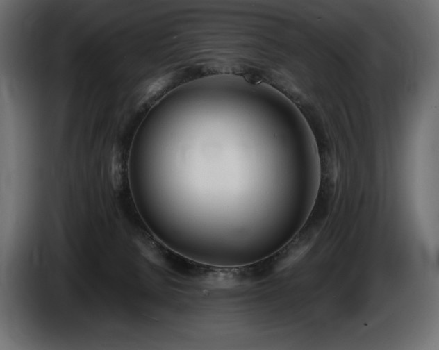X0000086720080200704131053