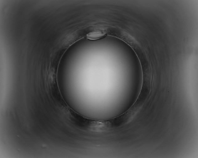 X0000086720083200704131054