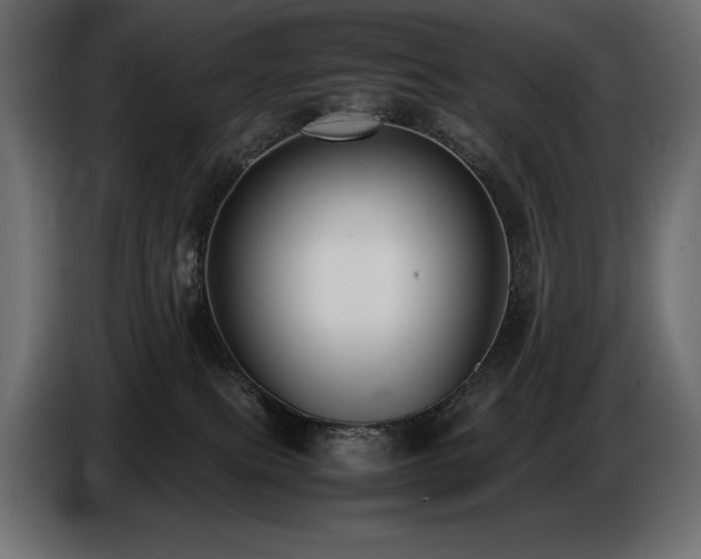X0000086720087200704131054