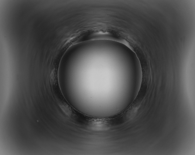 X0000086720088200704131054