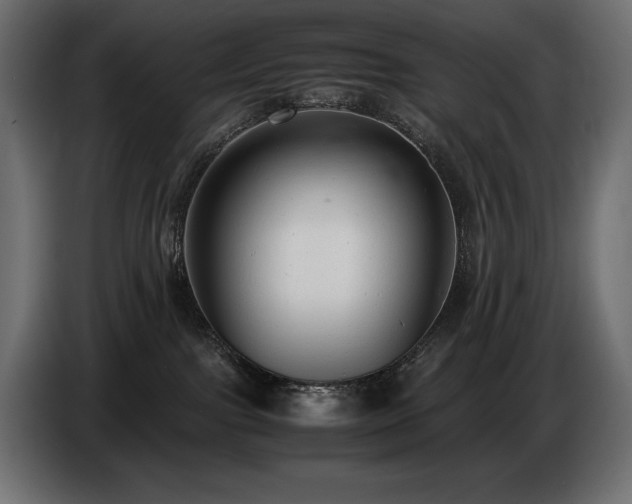 X0000086720091200704131054