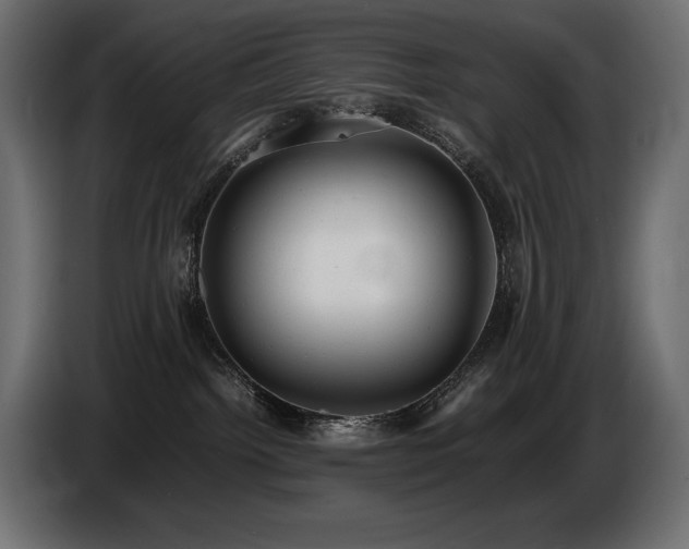 X0000086720092200704131054