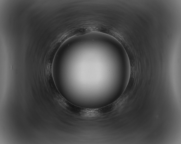 X0000086720093200704131054