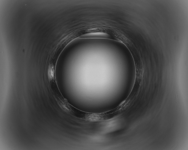 X0000086720095200704131054