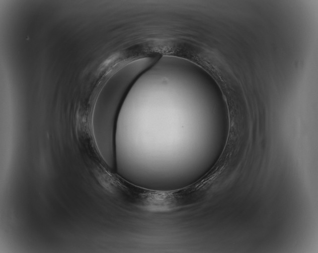 X0000086720096200704131054