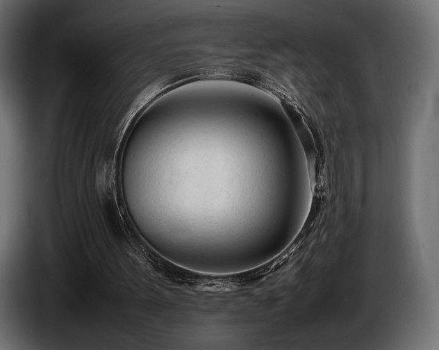 X0000086720099200704131053