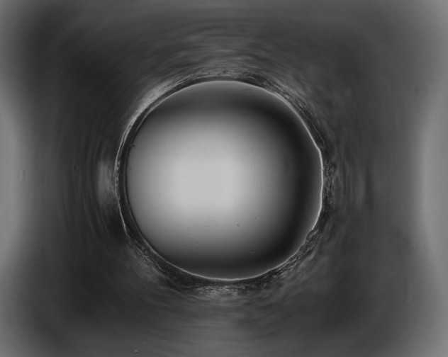 X0000086720100200704131053