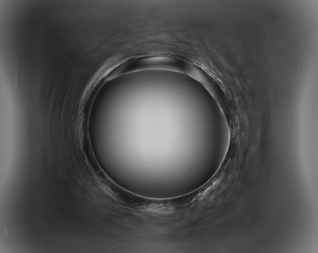 X0000086720101200704131053