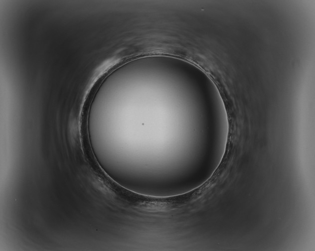 X0000086720104200704131053