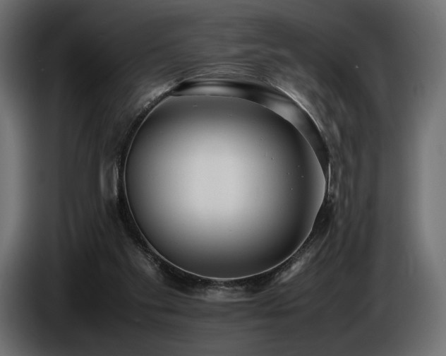 X0000086720109200704131053
