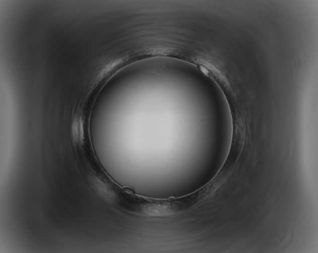 X0000086720110200704131053