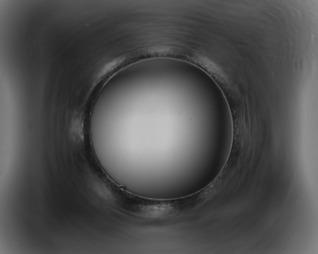 X0000086720112200704131053