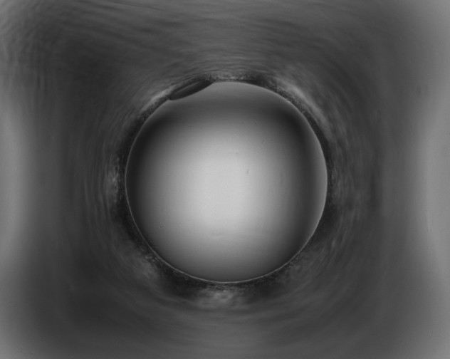 X0000086720113200704131053