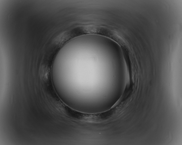 X0000086720125200704131053