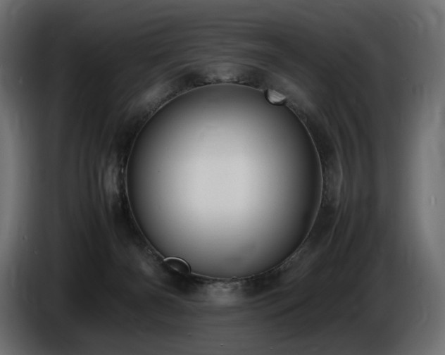 X0000086720126200704131053