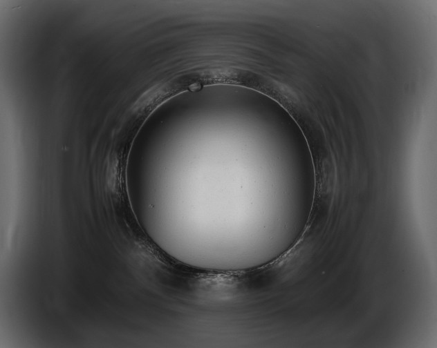 X0000086720140200704131052