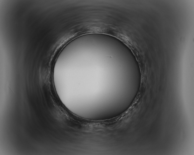 X0000086720146200704131052
