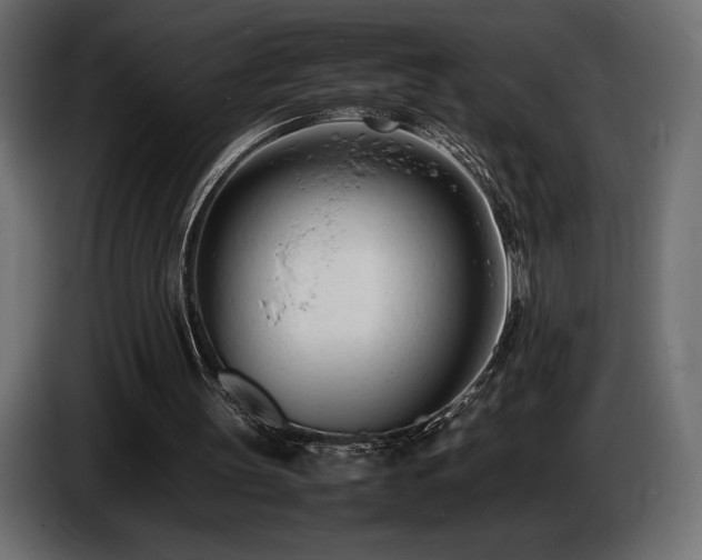 X0000086720147200704131052