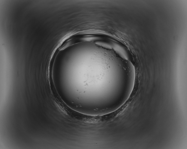 X0000086720148200704131052