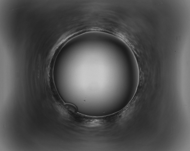 X0000086720151200704131052