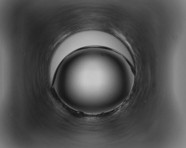 X0000086720154200704131052