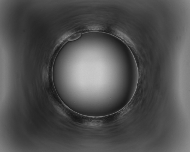 X0000086720155200704131052