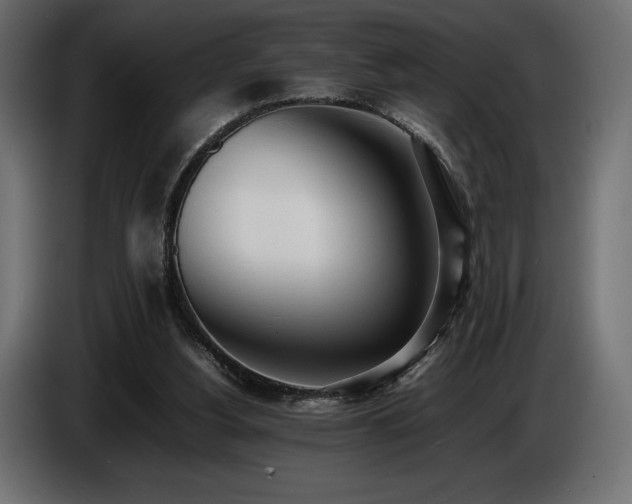 X0000086720156200704131052