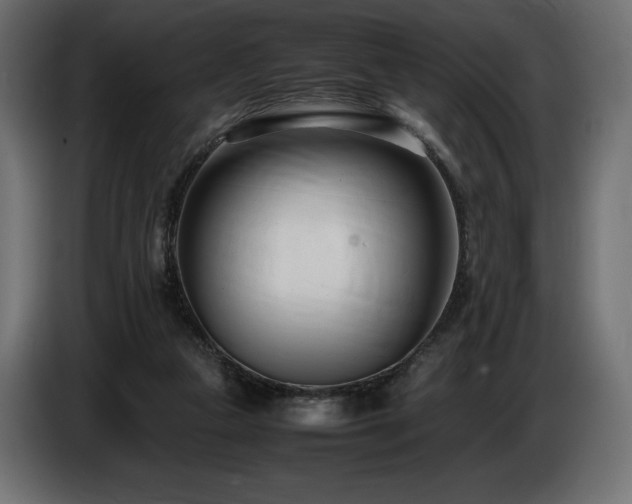 X0000086720161200704131052