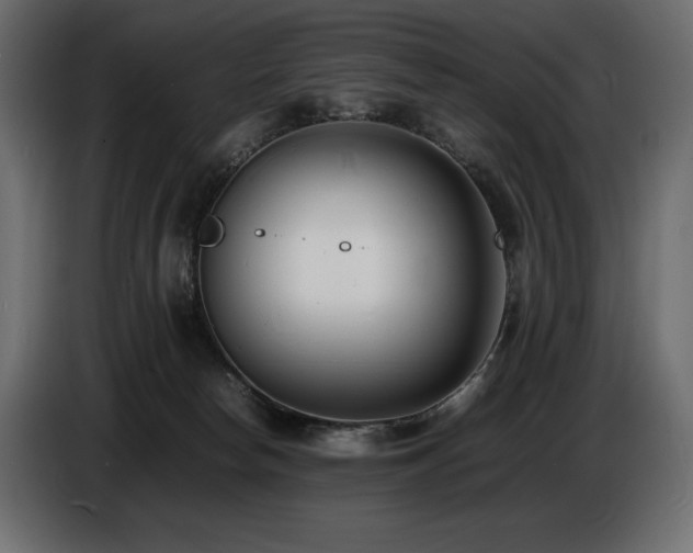 X0000086720178200704131052