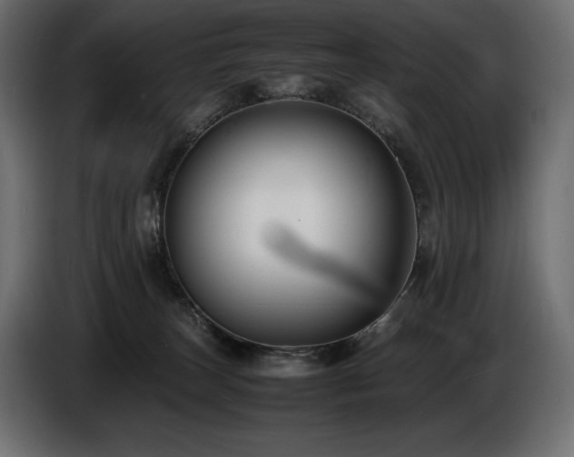 X0000086720179200704131052