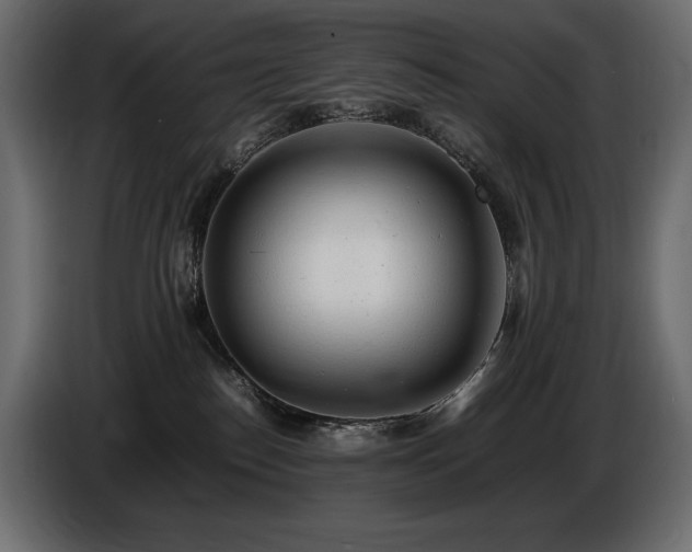 X0000086720186200704131052