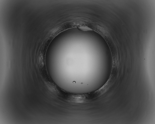 X0000086720187200704131052