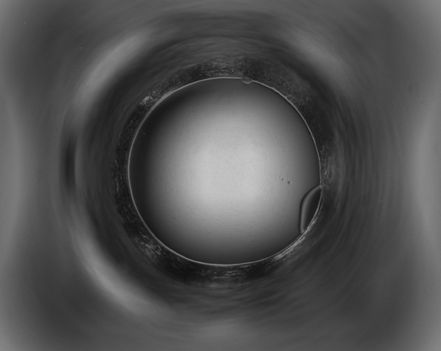 X0000086720191200704131052