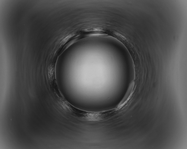 X0000086720192200704131052