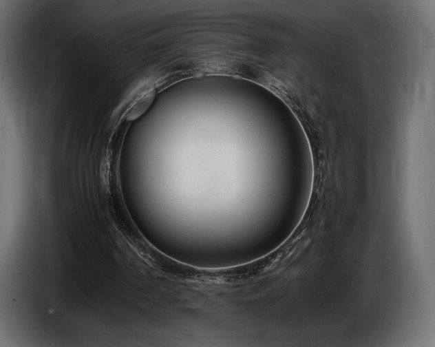 X0000086720194200704131052