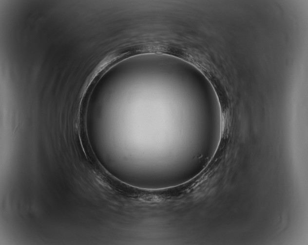 X0000086720195200704131052