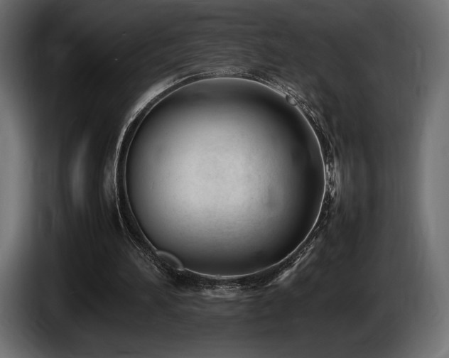 X0000086720196200704131052