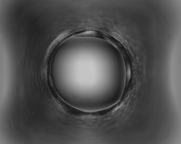 X0000086720197200704131052