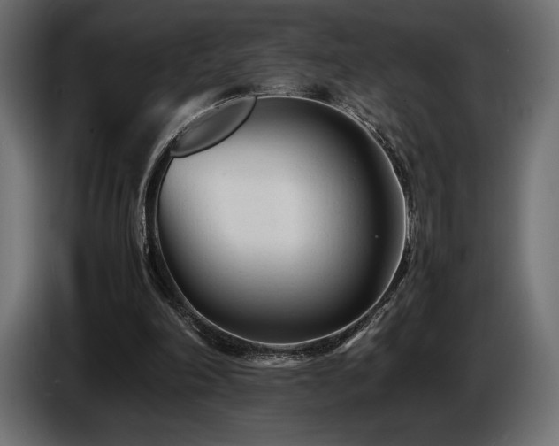 X0000086720198200704131052
