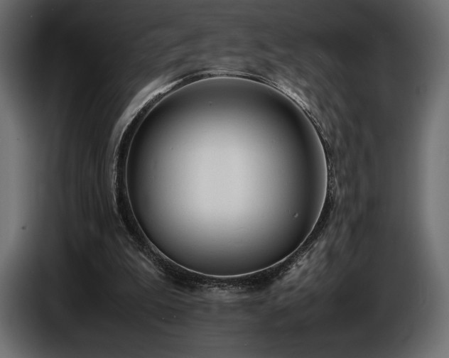 X0000086720199200704131052