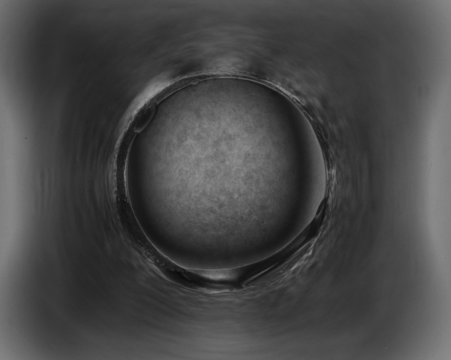 X0000086720200200704131052