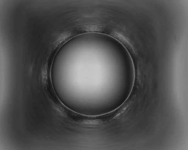 X0000086720202200704131052